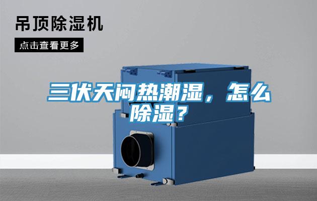 三伏天悶熱潮濕，怎么除濕？