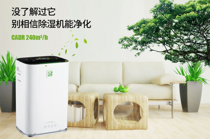 一到回南天狗狗就感冒+皮膚病，怎么辦？