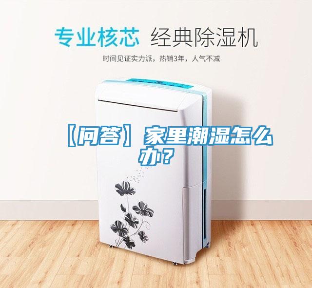 【問答】家里潮濕怎么辦?