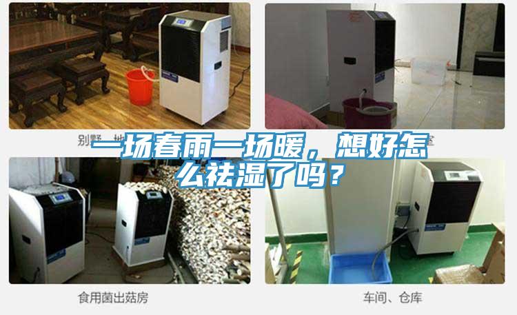 一場春雨一場暖，想好怎么祛濕了嗎？
