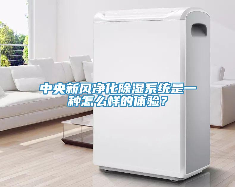 中央新風凈化除濕系統是一種怎么樣的體驗？