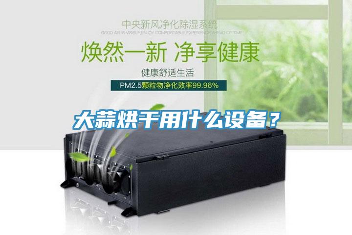 大蒜烘干用什么設備？