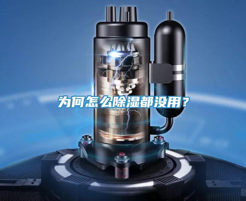 為何怎么除濕都沒用？