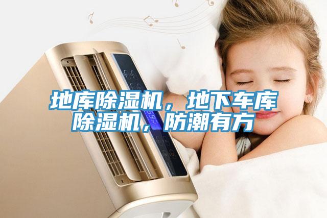 地庫除濕機(jī)，地下車庫除濕機(jī)，防潮有方