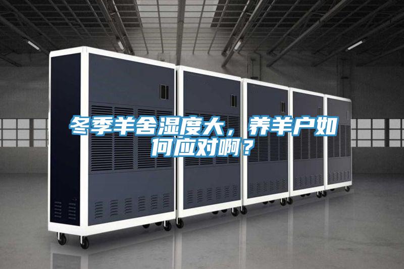 冬季羊舍濕度大，養(yǎng)羊戶如何應(yīng)對(duì)??？