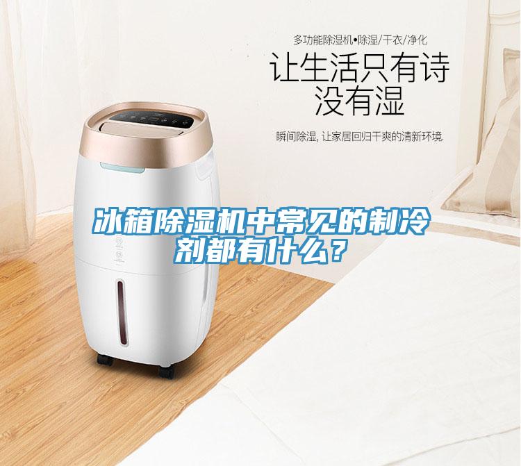 冰箱除濕機(jī)中常見(jiàn)的制冷劑都有什么？