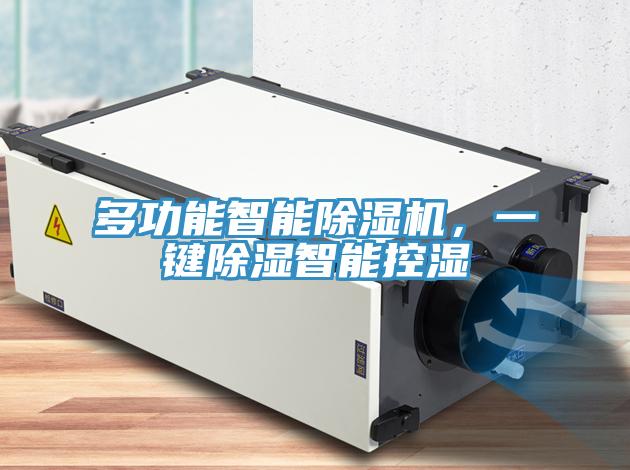 多功能智能除濕機(jī)，一鍵除濕智能控濕