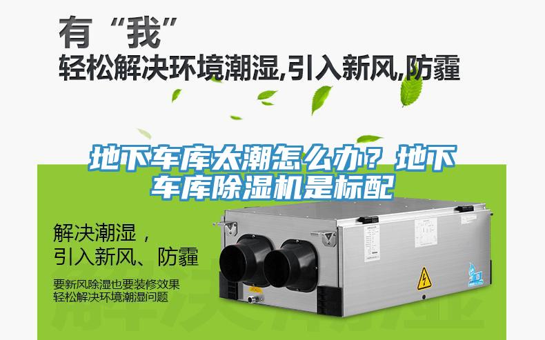 地下車庫太潮怎么辦？地下車庫除濕機是標配