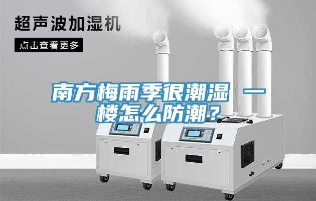 南方梅雨季很潮濕 一樓怎么防潮？