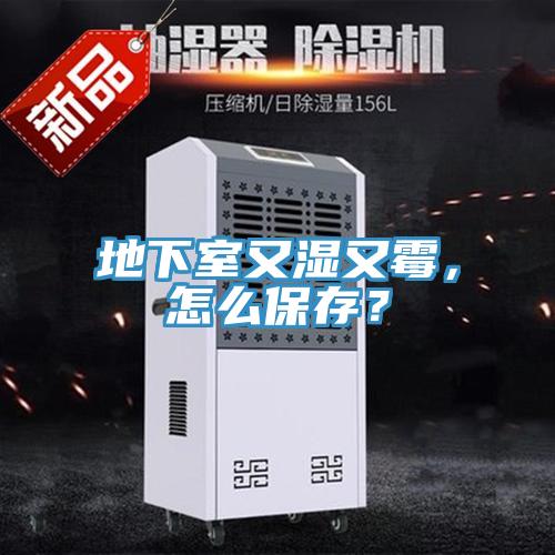 地下室又濕又霉，怎么保存？