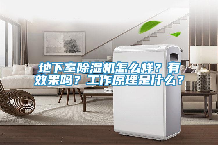 地下室除濕機怎么樣？有效果嗎？工作原理是什么？