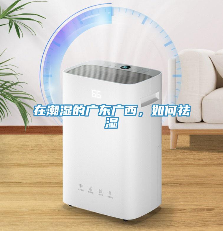 在潮濕的廣東廣西，如何祛濕