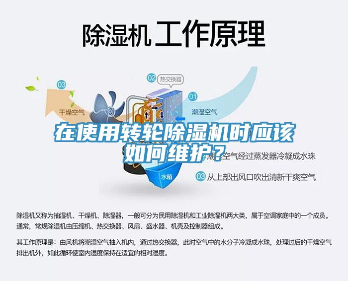 在使用轉輪除濕機時應該如何維護？