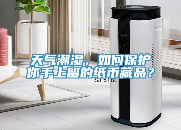 天氣潮濕，如何保護(hù)你手上留的紙幣藏品？