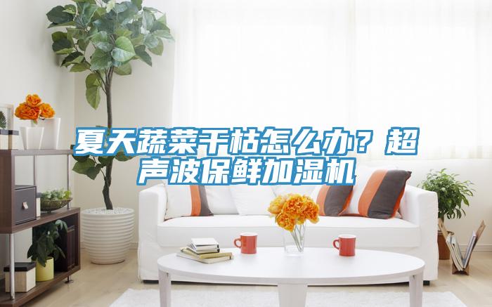 夏天蔬菜干枯怎么辦？超聲波保鮮加濕機