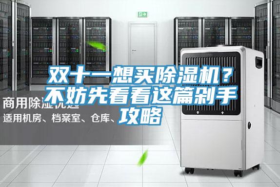 雙十一想買除濕機(jī)？不妨先看看這篇剁手攻略