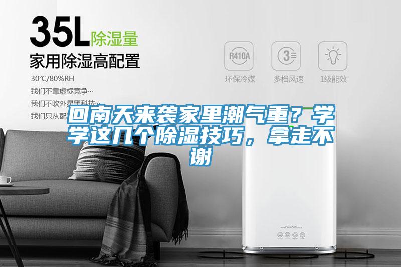 回南天來襲家里潮氣重？學學這幾個除濕技巧，拿走不謝