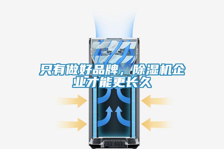 只有做好品牌,除濕機企業才能更長久