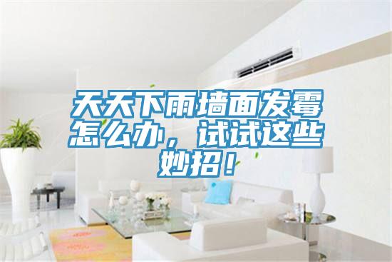 天天下雨墻面發(fā)霉怎么辦，試試這些妙招！