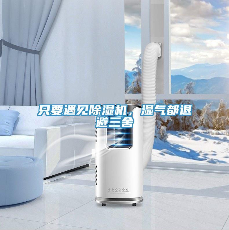 只要遇見除濕機,濕氣都退避三舍