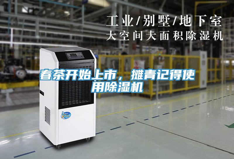 春茶開(kāi)始上市，攤青記得使用除濕機(jī)