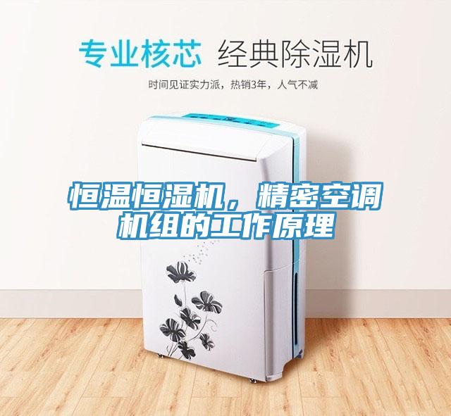 恒溫恒濕機，精密空調機組的工作原理
