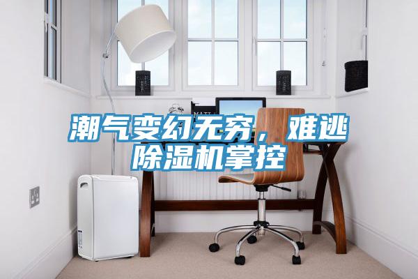 潮氣變幻無窮，難逃除濕機掌控