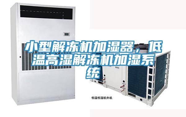 小型解凍機(jī)加濕器，低溫高濕解凍機(jī)加濕系統(tǒng)