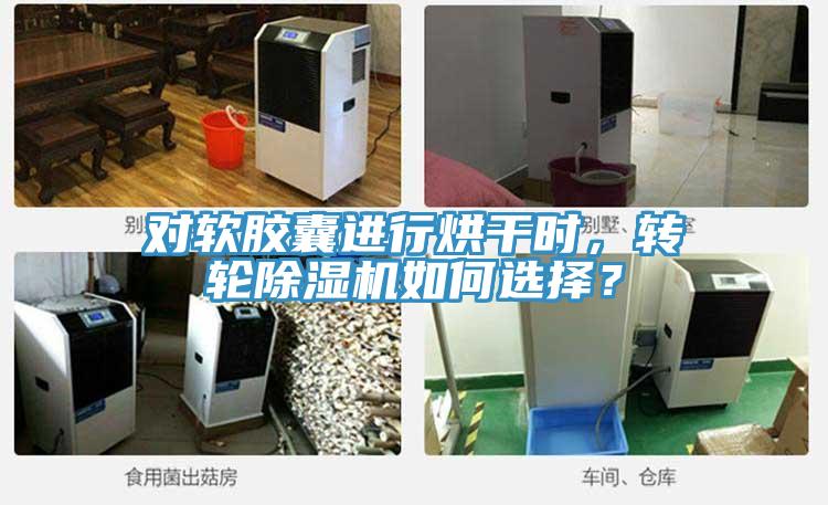 對軟膠囊進(jìn)行烘干時，轉(zhuǎn)輪除濕機(jī)如何選擇？