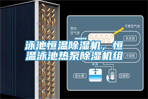 泳池恒溫除濕機,恒溫泳池熱泵除濕機組