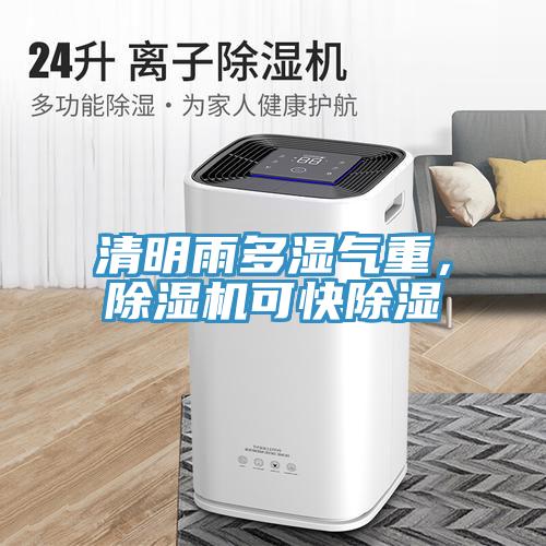 清明雨多濕氣重，除濕機可快除濕