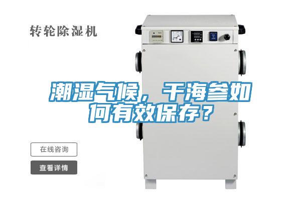 潮濕氣候，干海參如何有效保存？