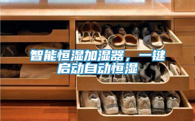 智能恒濕加濕器，一鍵啟動(dòng)自動(dòng)恒濕