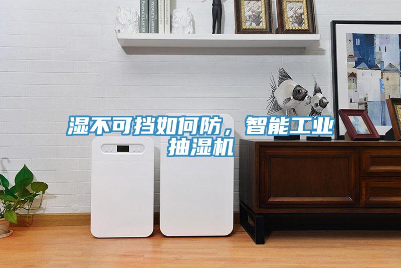 濕不可擋如何防，智能工業(yè)抽濕機