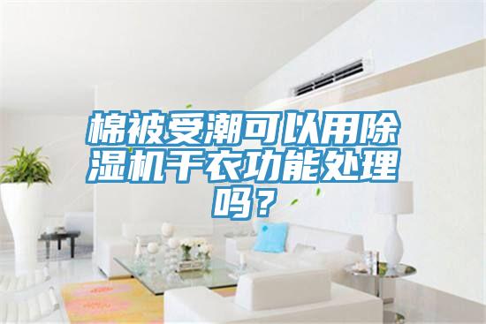 棉被受潮可以用除濕機干衣功能處理嗎？