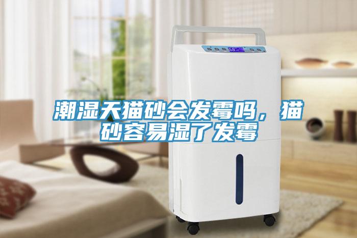 潮濕天貓砂會發霉嗎，貓砂容易濕了發霉