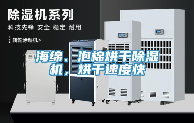 海綿、泡棉烘干除濕機(jī)，烘干速度快