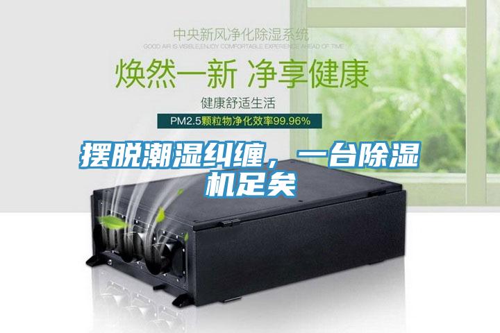 擺脫潮濕糾纏，一臺除濕機足矣