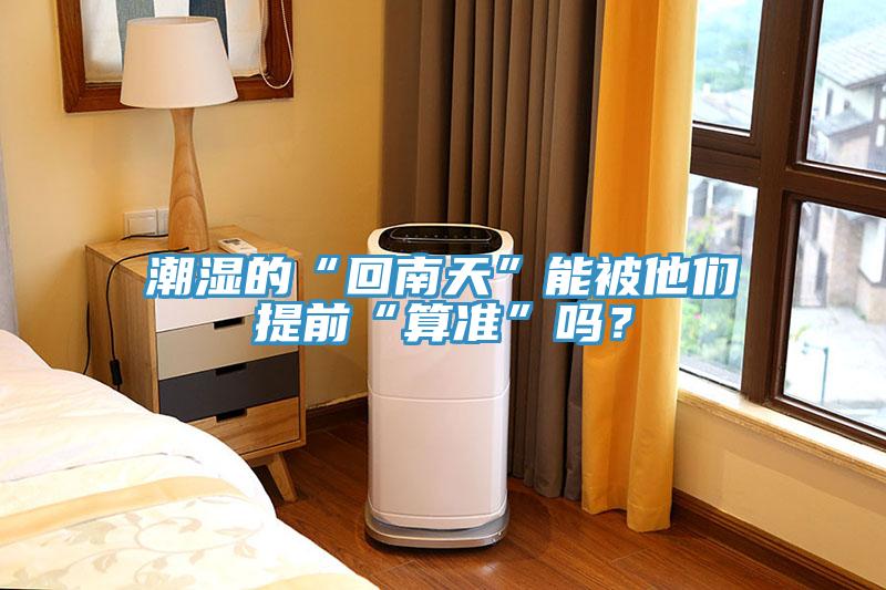 潮濕的“回南天”能被他們提前“算準”嗎？