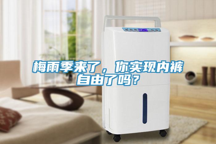 梅雨季來了，你實現內褲自由了嗎？