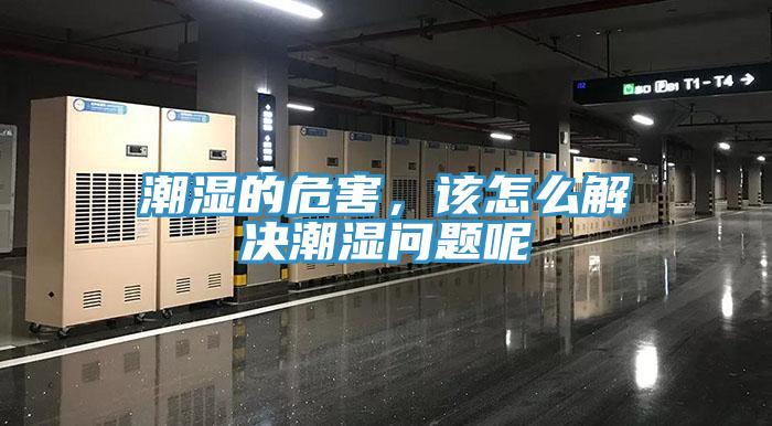 潮濕的危害，該怎么解決潮濕問題呢