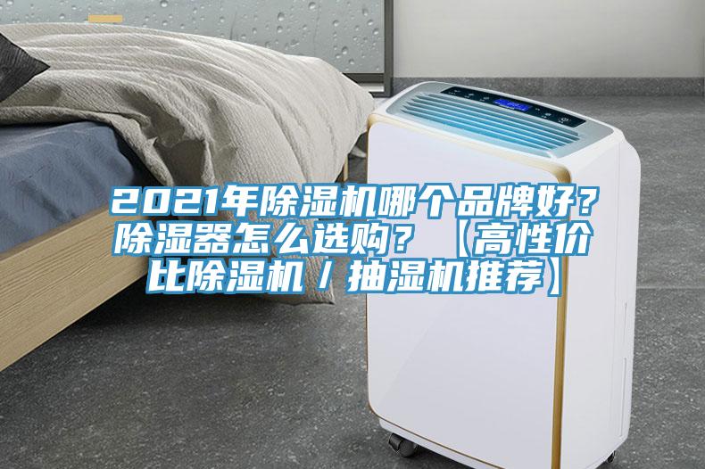 2021年除濕機哪個品牌好？除濕器怎么選購？【高性價比除濕機／抽濕機推薦】