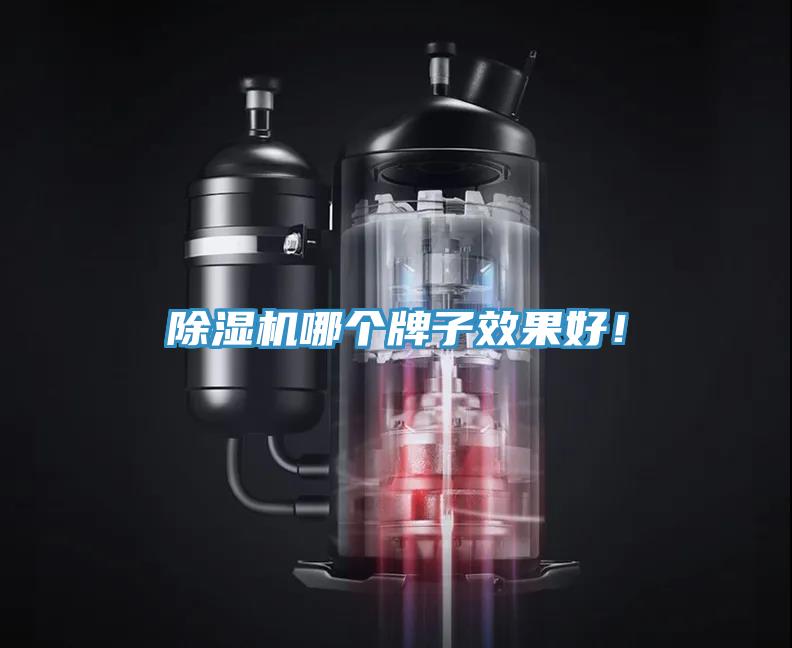 除濕機哪個牌子效果好！