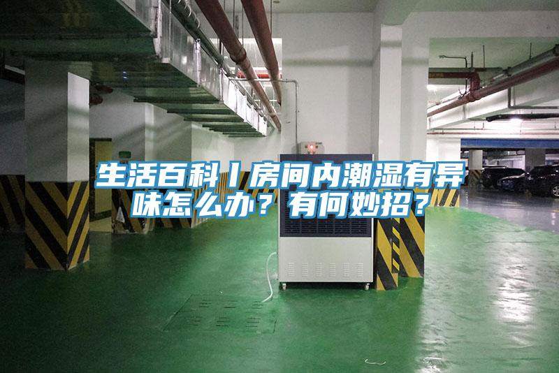 生活百科丨房間內(nèi)潮濕有異味怎么辦？有何妙招？