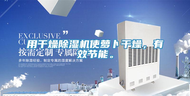 用干燥除濕機使蘿卜干燥,有效節能。