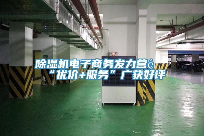 除濕機(jī)電子商務(wù)發(fā)力營銷“優(yōu)價(jià)+服務(wù)”廣獲好評