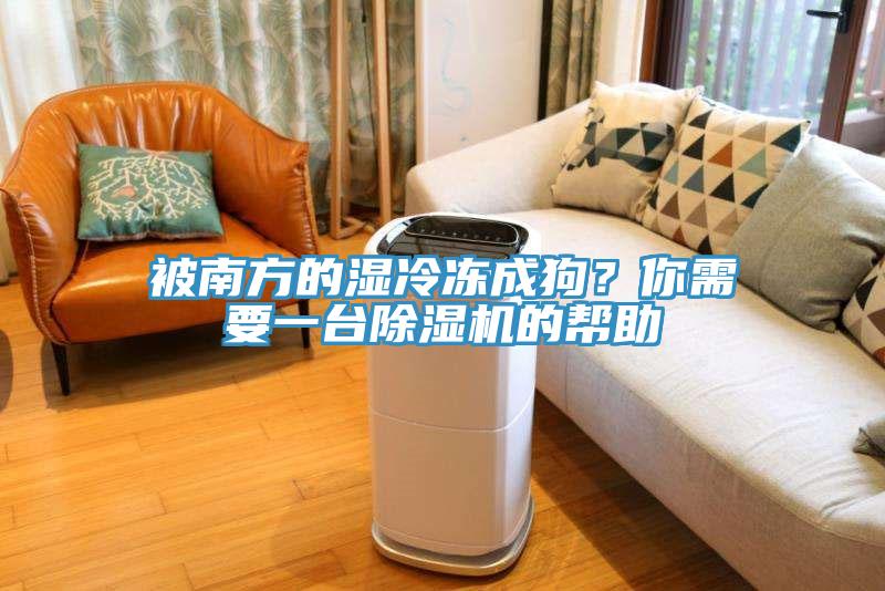 被南方的濕冷凍成狗？你需要一臺除濕機的幫助