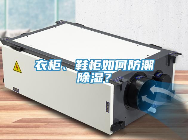 衣柜、鞋柜如何防潮除濕？