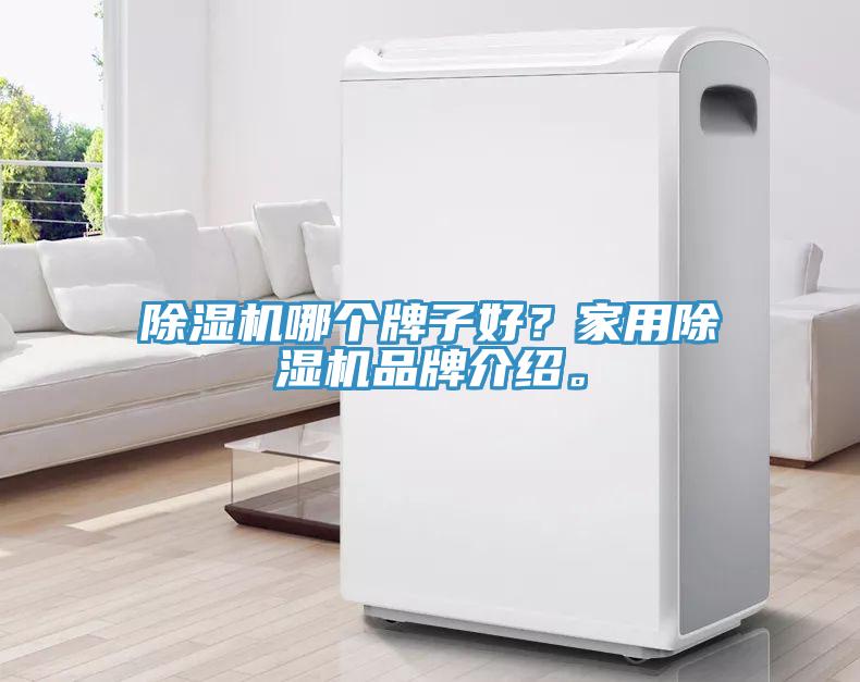 除濕機哪個牌子好？家用除濕機品牌介紹。