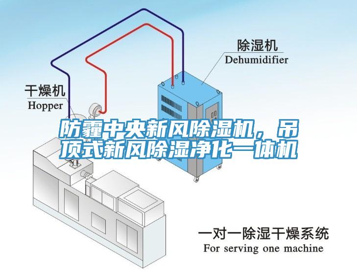 防霾中央新風除濕機，吊頂式新風除濕凈化一體機